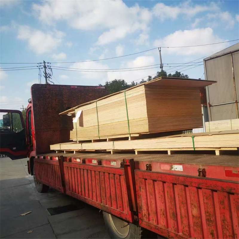 福建泉州安溪县至塔城货运专线，一站式物流服务助您成功